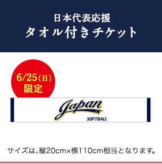 日本代表応援タオル付きチケット
